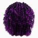 Corashan Cosplay Wigs On Party Women S Short Curly Hair Wigs Explosive- Head Wigs European and American Wigs Short Curly Hair Wigs Small Curly Hair Rose Net Chemical Fiber Headgear 22.5 in