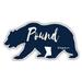 Pound Virginia Souvenir 4-Inch Vinyl Decal Sticker Bear Design