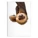 Stupell Industries Ax-501-Wood Upside-down Sloth Portrait On MDF by Sisi & Seb Graphic Art in White | 15 H x 10 W x 0.5 D in | Wayfair