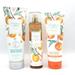 Bath & Body Works Pretty as a Peach Gift Set Body Wash 10 oz+ Fragrance Mist 8 oz+Body Cream 8 oz