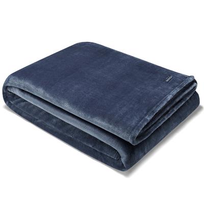 Captains Ultra Soft Plush Twin Blanket In Blue