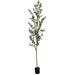 Primrue 82" Artificial Olive Tree in Plastic Planter Plastic | 82 H x 19 W x 19 D in | Wayfair 6E7E1C76E8CA4C19B488C0072D0CB057