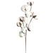 Save Big Matoen 21Inch Cotton Stems Fake Cotton Flowers Dried Cotton Picks Stalks Plants Artificial Cotton Floral Stems Faux Farmhouse Decorations for Vase Home Decor