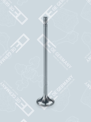 OE Germany Einlassventil Universal für DAF 1644097 06 0520 XF9503 Image