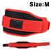 Weight Lifting Belt for Gym Fitness Training - Nylon Padded Double Belt with Lumbar Back Support for Bodybuilding Functional Training Powerlifting Deadlifts Workout & Squats