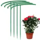 Poteau de Support en plastique pour plantes et vergers cadre de pieu Support de fleur tige de