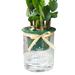 Self Watering Planter Pots Mini Round Design Succulent Plant Pot Indoor Home Garden Modern Decorative Pot C102 Soil Pot