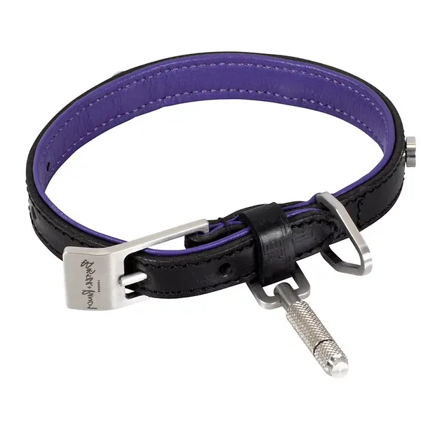 buster-+-punch-dog-collar---npa-02788/