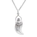 Aromatic Fang,'Men's Sterling Silver Pendant Necklace with Faceted Amethyst'