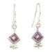 Adorable Wisdom,'Sterling Silver Dangle Earrings with Faceted Amethyst Stones'