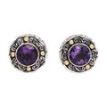 'Gold-Accented Sterling Silver Earrings with Amethysts'