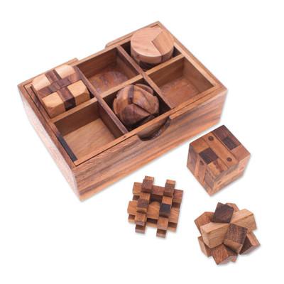 Beautiful Challenge,'Raintree Wood Puzzle Set from Thailand (6 Piece)'