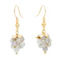 Luminous Grapes,'Labradorite Bead Cluster Earrings on 14k Gold Plating'