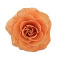 Rosy Mood in Peach,'Artisan Crafted Natural Rose Brooch in Peach from Thailand'