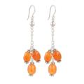 Royal Fruits,'Sterling Silver Cluster Dangle Earrings with Carnelian Gems'