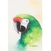 Free Macaw,'Impressionist Acrylic and Oil Painting of a Green Macaw'