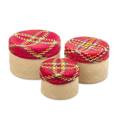Nests of Nariño,'Handwoven Natural Fiber Colorful Baskets From Colombia'