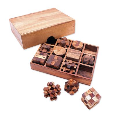 Array of Challenges,'12 Handcrafted Wood Puzzles with Box from Thailand'