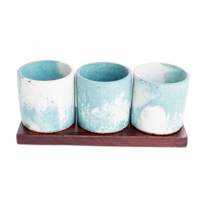 'Ocean-Inspired Flower Pots on Mahogany Base (Set of 3)'