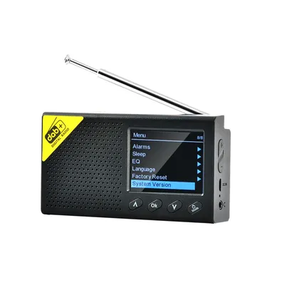 Radio numérique DAB et FM avec BT aste sans fil récepteur DAB + FM système de son haut-parleur