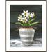 Red Barrel Studio® Kelsey Wilson Farmhouse Garden II White Daffodils by Kelsey Wilson Paper, Wood in Gray/Green | 41 H x 33 W x 1 D in | Wayfair