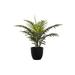 "Artificial Plant- 20"" Tall- Palm- Indoor- Faux- Fake- Table- Greenery- Potted- Real Touch- Decorative- Green Leaves- Black Pot-Monarch Specialties I 9501"