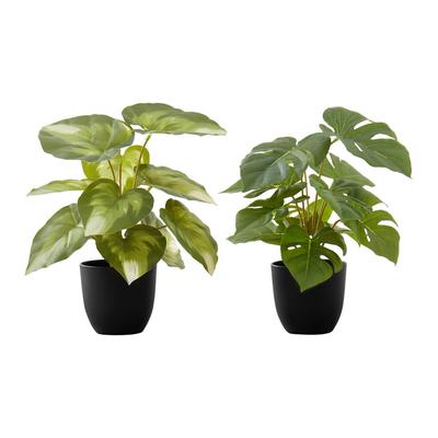 "Artificial Plant- 13"" Tall- Monstera Calthea- Indoor- Faux- Fake- Table- Greenery- Potted- Set Of 2- Decorative- Green Leaves- Black Pots-Monarch Specialties I 9584"