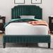 Modern Velvet Curved Upholstered Platform Bed with Nailhead Trim and Solid Wood Frame & Headboard