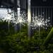 Home Gifts Matoen Outdoor Solar Garden Lights Solar Firework Lights 120 LED Waterproof Solar Lamps Decorative Fireworks Lamp 8 Modes Landscape Lights for Pathway Backyard Walkway Patio