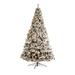 10' Pre-Lit Flocked West Virginia Fir Artificial Christmas Tree, Warm Clear LED Lights - over-10-feet