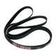 Tumble Dryer Drive Belt for Hotpoint/Indesit Tumble Dryers and Spin Dryers