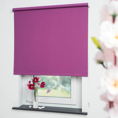 Seitenzugrollo LIEDECO "Uni" Gr. 3, lila (brombeere, bitte auswählen), B:232cm H:180cm, Kunststoff, Metall, Polyester, Rollos, Welle 36 mm stabiler Kettenzug Image