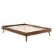 Modway Margo Upholstered Bed Upholstered in Brown | 58 H x 63.5 W x 82.5 D in | Wayfair 889654164289