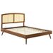 Modway Sierra Upholstered Bed Upholstered in Brown | 51 H x 63.5 W x 84 D in | Wayfair 889654951469