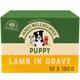 James Wellbeloved Wet Puppy Food Pouches with Lamb and Rice 10 x 150g