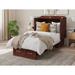 Wade Logan® Brylor Solid Wood Twin Murphy Bed w/ Charging Station & Mattress Included Wood in Brown | 39.5 H x 42.63 W x 75.5 D in | Wayfair