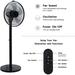 MMTX 14.5 Adjustable 12 Levels Speed Pedestal Stand Fan with Remote Control for Indoor Home Office and College Dorm Use 90 Degree Horizontal Oscillating 9 Hours Timer 14.5 Inch Black