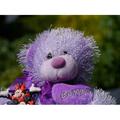 Teddy Bear Teddy Purple Teddy Kid Purple Bear Toy - Laminated Poster Print - 20 Inch by 30 Inch with Bright Colors and Vivid Imagery