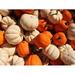 Fall Autumn Halloween Orange Harvest Pumpkins - Laminated Poster Print - 20 Inch by 30 Inch with Bright Colors and Vivid Imagery