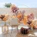 Primrue Pampas Decor Grass Fluffy Floral Arrangements & Centerpieces in Orange | 17.6 H x 3.74 W x 3.7 D in | Wayfair