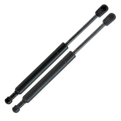 Bestprice 2x Gasfeder, Koffer-/Laderaum [Hersteller-Nr. 1908232] für Audi Image