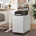 2 Drawer Mobile File Cabinet with Lock Metal Filing Cabinet with wheels for Legal/Letter/A4/F4 Size