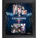 Fanatics Authentic Minnesota Twins 2023 AL Central Division Champions 15" x 17" Collage