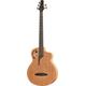 Furch Bc61-5 CM Acoustic Bass