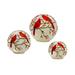 LED Frosted Cardinal Orb with Berry Branch Design (Set of 3) - N/A