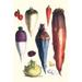 Illustration from a famous French seed catalog and the vegetables that can be grown. Poster Print by Philippe-Victoire Levï¿½que de Vilmorin (18 x 24)