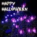 Teissuly Solar Halloween Pathway Lights Purple Spider Swaying Halloween Lights Outdoor Solar Powered Waterproof Spooky Halloween Stake Lights for Garden Yard Patio Pathway Decorations