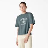 Dickies Women's Oxford Graphic T-Shirt - Smoke Blue Size XS (FSR78)
