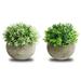 HElectQRIN Simulated Plant Bonsai 2 PCS Simulated Plant Bonsai Semicircular Pulp Bonsai Desktop Green Plants Potted Ornaments White Green Simulated Pulp Bonsai