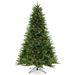 The Holiday Aisle® Jacai 7' Lighted Artificial Virginia Pine Christmas Tree - Stand Included, Metal in Green/White | 7" | Wayfair